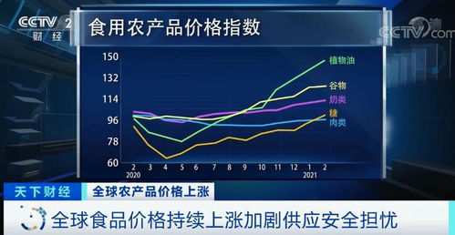 全球食品價格持續攀升 糧農組織植物油價格創十年新高